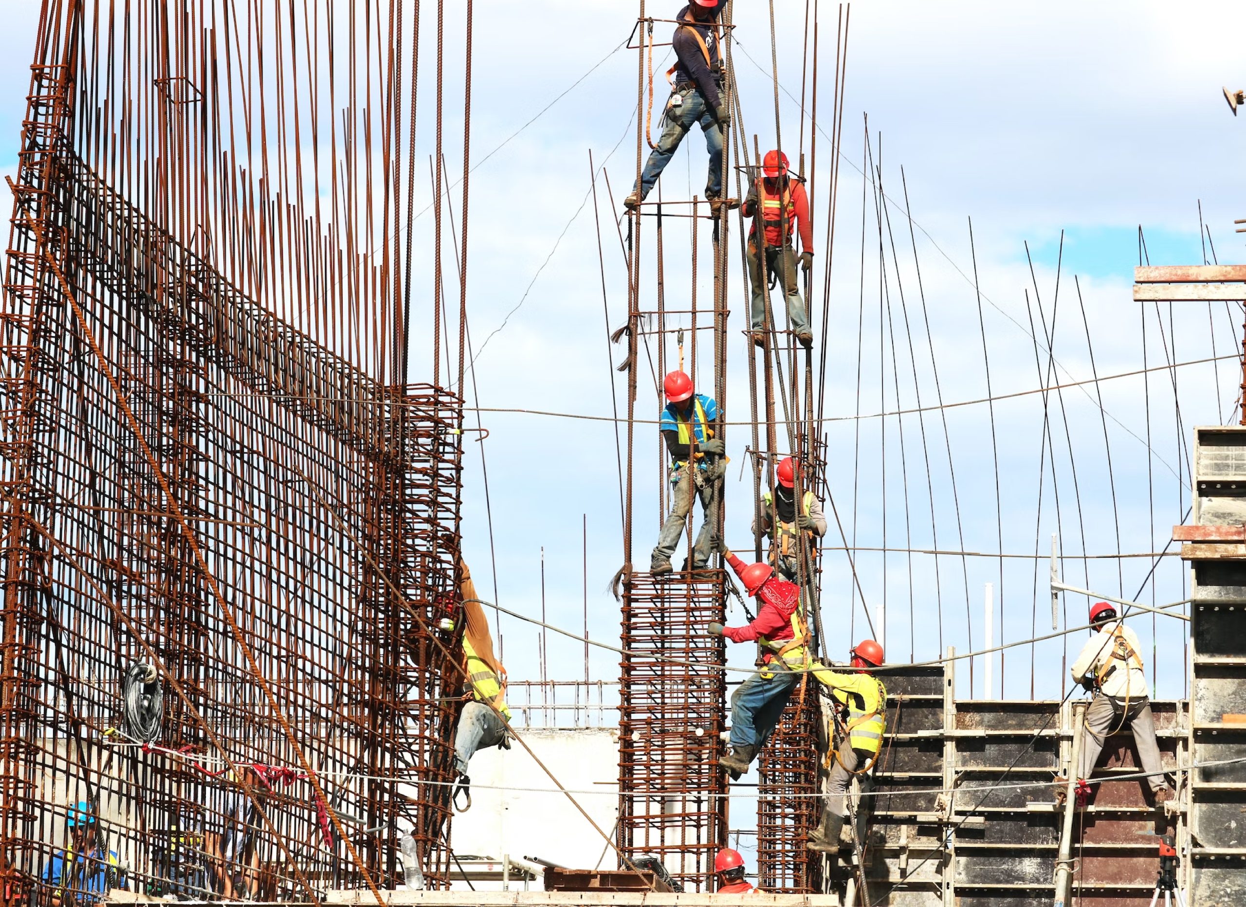 structural experties2